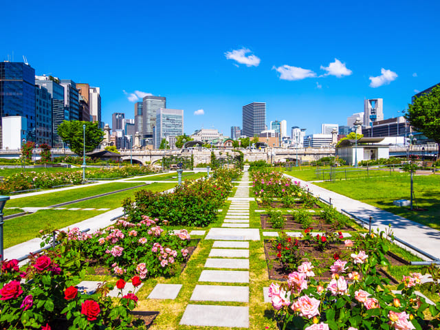 中之島公園（中之島バラ園）